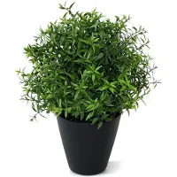 Maxifleur Kunstplanten Eucalyptus kunstplant 35cm