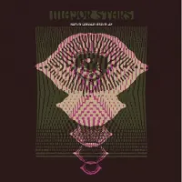 DRAGC Major Stars - Roots of Confusion Seeds of Joy (LP)