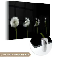 MuchoWow Glasschilderij 180x120 cm - Schilderij acrylglas - Paardenbloem - Planten - Bloemen - Donker - Stilleven - Foto op glas - Muurdecoratie woonkamer - Wanddecoratie slaapkamer - Schilderijen