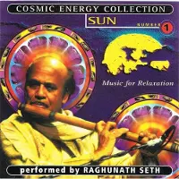 Bertus Distributie Cosmic Energy