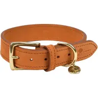 FANTAIL Hondenhalsband Nubu Lichtbruin - Hondenhalsband - 40 cm