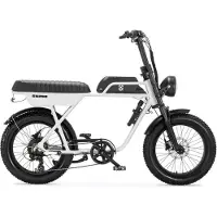 AGM GT250 - Fatbike - 12.8Ah - Wit - Hydraulische remmen