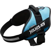 Julius-K9 IDC Powertuig Aquamarine - Maat 2