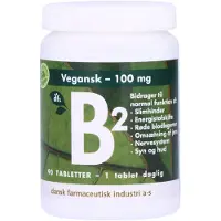 Dansk Farmaceutisk Industri Naturprodukter B2 100mg 90 stk.