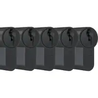 Dom Zwarte profielcilinder Plura 30/30mm - SKG 2 sterren - 5 gelijksluitende cilinders