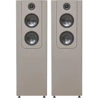 Lyngdorf FR-2 Vloerluidspreker