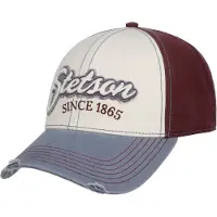 Stetson Tricolour Vintage Distressed Pet by