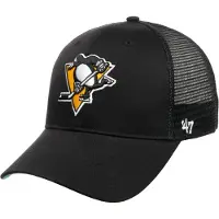 47 Nhl Pittsburgh Penguins Branson Mvp Pet