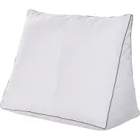 Queens Textiles Bedzitkussen inclusief sloop 65 x 30 x 50 cm