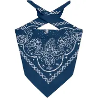 Levi's Doek 'Paisley Bandana' blauw / wit
