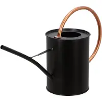 Esschert Design Gieter zwart koper 1.64L zwart Metaal Gieter