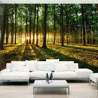 Karo-art 294cm X 210cm - Zelfklevend fotobehang - Mystieke Ochtend, Bos, 8 maten, premium print