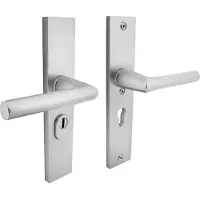 Intersteel Veiligheidsbeslag SKG3 achterdeur PC55mm met kerntrekbeveiliging - aluminium