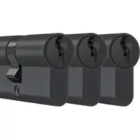 Dom Zwarte profielcilinder Plura 30/30mm - SKG 2 sterren - 3 gelijksluitende cilinders