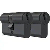 Dom Zwarte profielcilinder Plura 30/30mm - SKG 3 sterren - 2 gelijksluitende cilinders