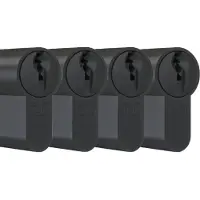 Dom Zwarte profielcilinder Plura 30/30mm - SKG 3 sterren - 4 gelijksluitende cilinders