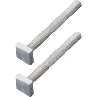 HDD pro Bevestigingsset m10 Trekker Voor Buitendeur/Carre 20mm/100mm Inox Plus