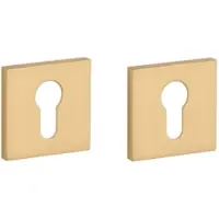 Aprile Comfort Profielcilinder rozet 53x53x7mm goud satiné Rozetten