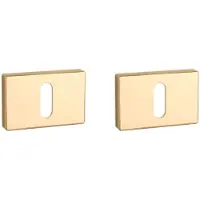 Aprile Sleutel rozet rechthoek 50X33X7mm Goud