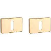 Aprile | Prestige Sleutelrozet | 50x33x7mm | Rechthoekig | Goud gepolijst PVD