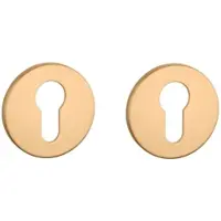 Aprile | Prestige Profielcilinder rozet | 52x5mm | Goud mat
