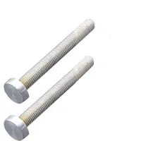 HDD pro Bevestigingsset m10 Trekker Voor Buitendeur/Rond 20mm/100mm Inox Plus