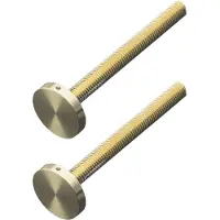 HDD pro Bevestigingsset m10 Trekker Voor Buitendeur/Rond 30mm/100mm Messing gepolijst