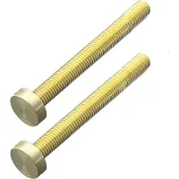HDD pro Bevestigingsset m10 Trekker Voor Buitendeur/Rond 20mm/100mm Messing gepolijst