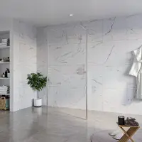 FortiFura Galeria Vrijstaande Inloopdouche - 100x200cm - helder - antikalk - 8mm veiligheidsglas - 2 zijwanden 30cm - wandsteunen en hoekprofielen - PVD - geborsteld RVS SW927769 2x/SW797915/SW797909