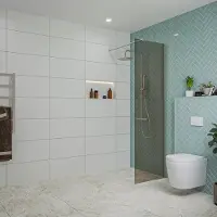 FortiFura Galeria inloopdouche - 60x200cm - rookglas - wandarm - Geborsteld RVS PVD (RVS) SW797935/SW797908