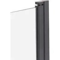 Beliani LAPAN - Douchescherm - Zwart - 140 x 80 cm - Veiligheidsglas