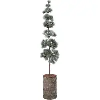 Intratuin Kunstkerstboom Lohko Op Houten Voet D 15 H 80 Cm