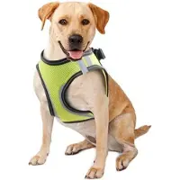 Pawise Doggy Safety Harness L