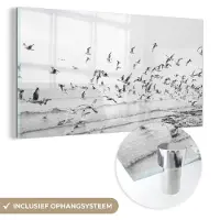 MuchoWow Glasschilderij 160x80 cm - Schilderij acrylglas - Zee - Vogels - Natuur - Zeemeeuwen - Foto op glas - Muurdecoratie woonkamer - Wanddecoratie slaapkamer - Schilderijen