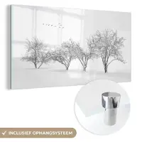MuchoWow Glasschilderij 120x60 cm - Schilderij acrylglas - Bomen - Zwart wit - Natuur - Vogels - Foto op glas - Muurdecoratie woonkamer - Wanddecoratie slaapkamer - Schilderijen