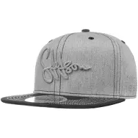 Stetson Lettering Flat Brim Pet by