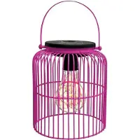 Intratuin Lantaarn Madrid Roze D 13 H 16 Cm