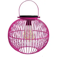 Intratuin Lantaarn Wenen Roze D 20 H 18 Cm