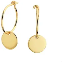 The Jewelry Collection Zilver Verguld Oorringen rondje 1 micron 2100866