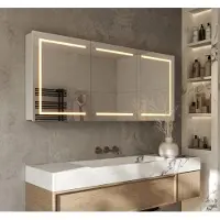 Schaere - Aluminium Badkamer Spiegelkast - Directe Verlichting Rondom - Spiegel Verwarming - Stopcontact - USB - Make-Up Spiegel - Sensor Schakelaar - 160×70 cm