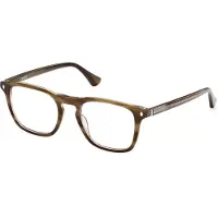 Web Bril - - WE5386 - Bruin acetaat - 50/20/145 - Man