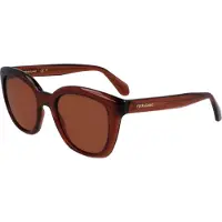 Ferragamo Bruine Geïntegreerde Zonnebril