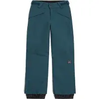 O'Neill Sportbroek 'Hammer' blauw