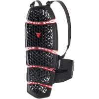 Dainese Pro-Armor 2.0 Back Protector Long