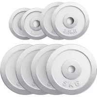 Gorilla Sports Halterschijven set 27,5 kg chroom