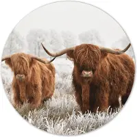 Label2X Muurcirkel Schotse hooglander - sneeuw