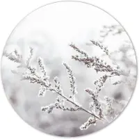 Label2X Muurcirkel snowy twig