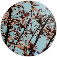 Label2X Muurcirkel dried sky