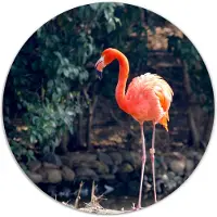 Label2X Muurcirkel flamingo