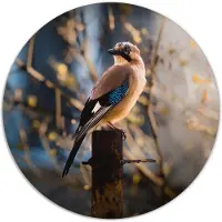 Label2X Muurcirkel vogeltje